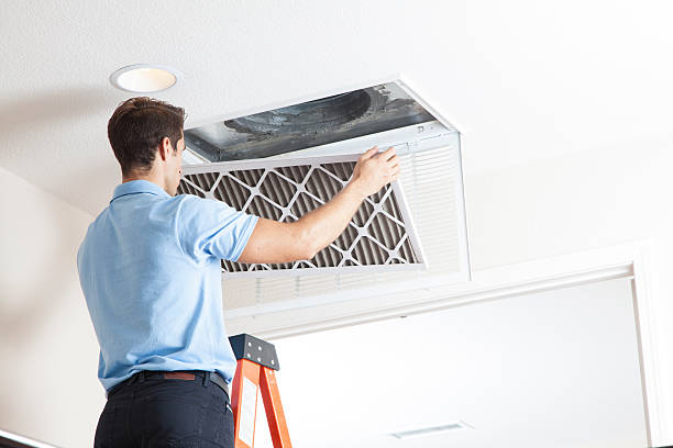 Best Air quality test  in Muscatine, IA